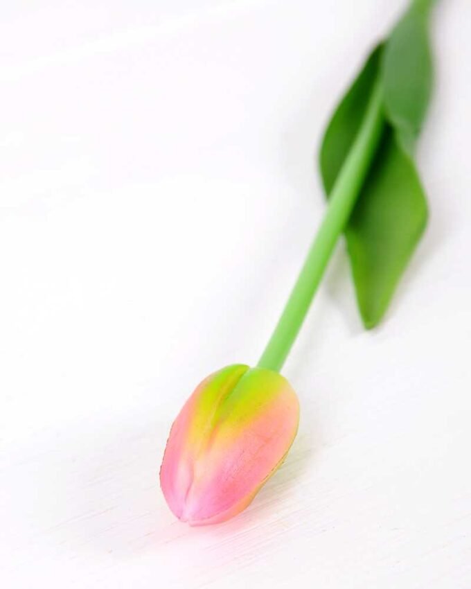 3*44CM Single Tulip GS-2450372