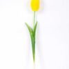 5*47CM Single Tulip GS-2450373