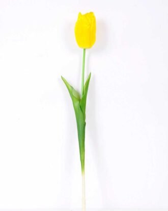 5*47CM Single Tulip GS-2450373