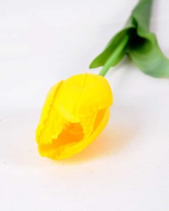 5*47CM Single Tulip GS-2450373