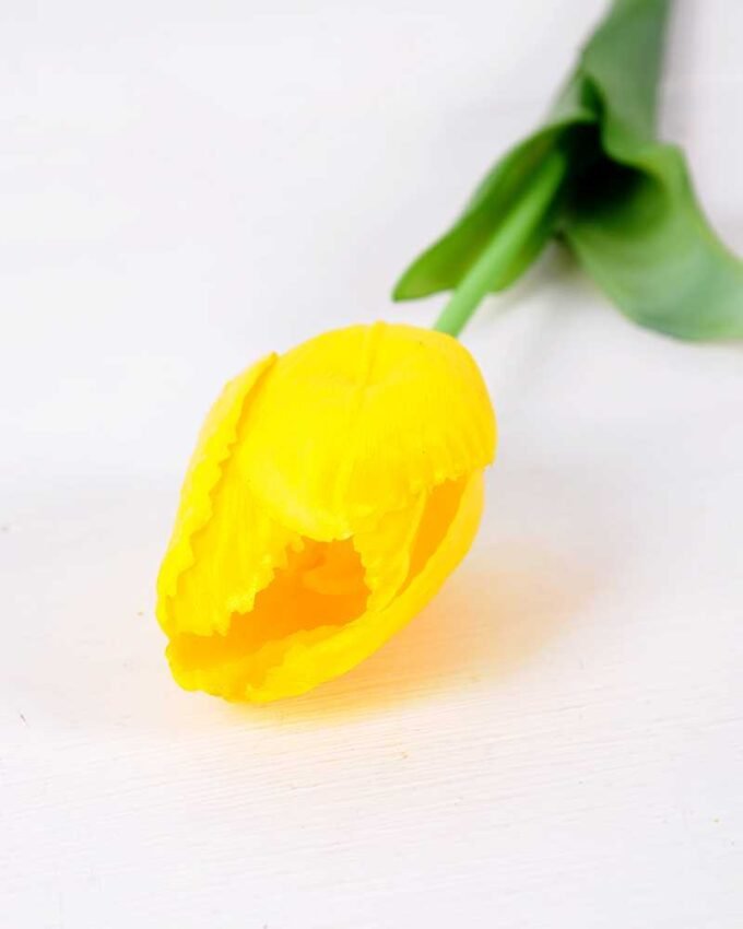5*47CM Single Tulip GS-2450373