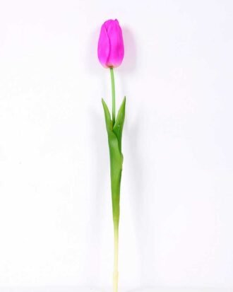 5*47CM Single Tulip GS-2450374