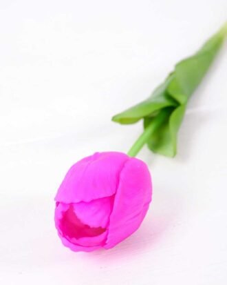5*47CM Single Tulip GS-2450374