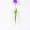 5*47CM Single Tulip GS-2450375 1 5*47CM Single Tulip GS-2450375