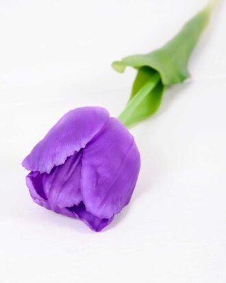 5*47CM Single Tulip GS-2450375 Single Flowers YeahFlower is one of Chinese leading OEM manufacturers and exporters , supplying the silk flowers, wholesale artificial trees 5*47CM Single Tulip GS-2450375