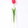 5*47CM Single Tulip GS-2450376