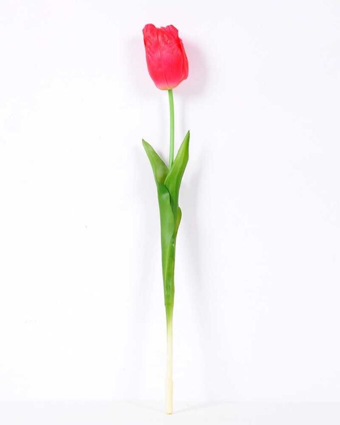 5*47CM Single Tulip GS-2450376