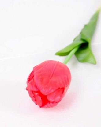 5*47CM Single Tulip GS-2450376