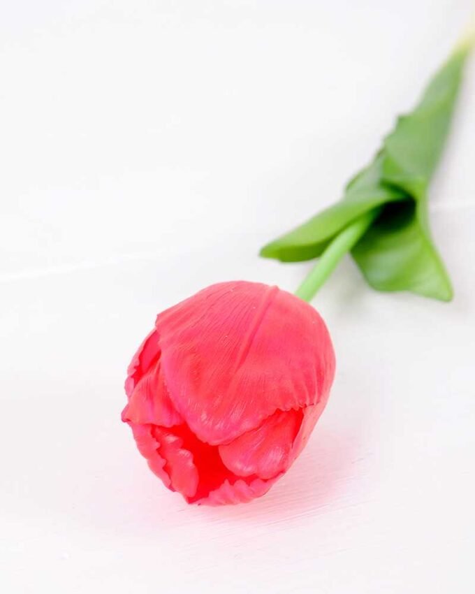 5*47CM Single Tulip GS-2450376