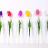 5*47CM Single Tulip GS-2450376
