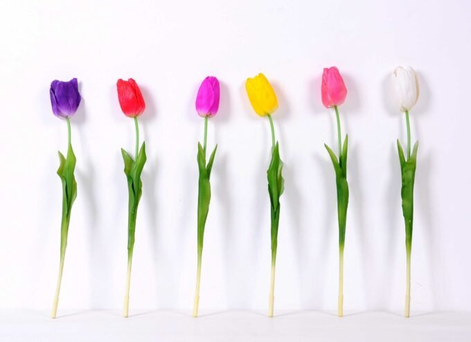 5*47CM Single Tulip GS-2450376