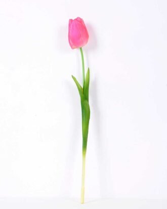 5*47CM Single Tulip GS-2450377