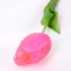 5*47CM Single Tulip GS-2450377