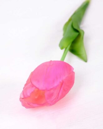 5*47CM Single Tulip GS-2450377