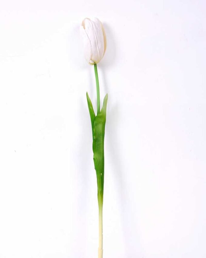 5*47CM Single Tulip GS-2450378