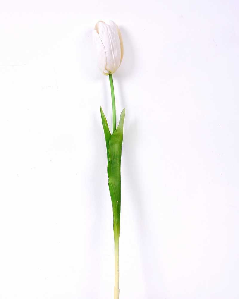 ☆ TULIP さま　専用　☆ Amazon | Tulip(チューリップ) あみ針ゲージ糸巻き ネイビー(AC