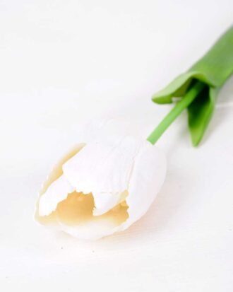 5*47CM Single Tulip GS-2450378