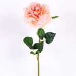15*15*65CM Single Wild Rose GS-2580063-C1