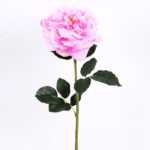 15*15*65CM Single Wild Rose GS-2580063-P1