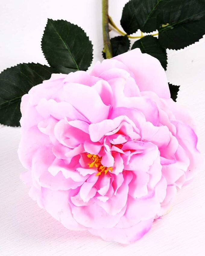 15*15*65CM Single Wild Rose GS-2580063-P1 2 15*15*65CM Single Wild Rose GS-2580063-P1