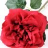15*15*65CM Single Wild Rose GS-2580063-R1