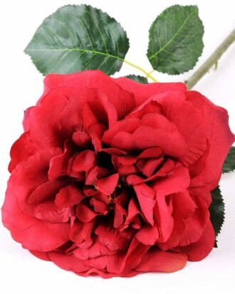 15*15*65CM Single Wild Rose GS-2580063-R1