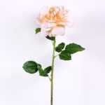 15*15*65CM Single Wild Rose GS-2580063-W1