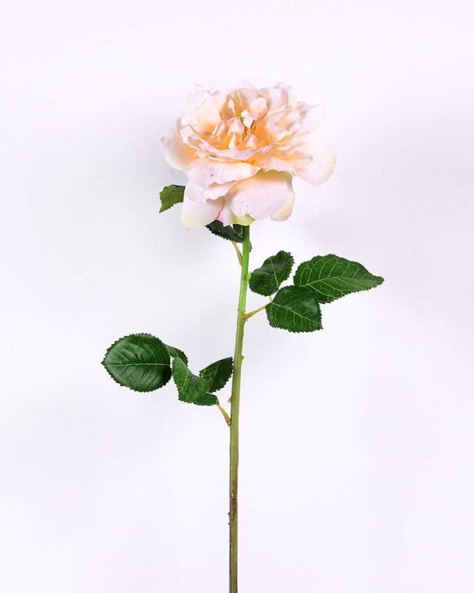 15*15*65CM Single Wild Rose GS-2580063-W1