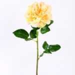 15*15*65CM Single Wild Rose GS-2580063-Y1