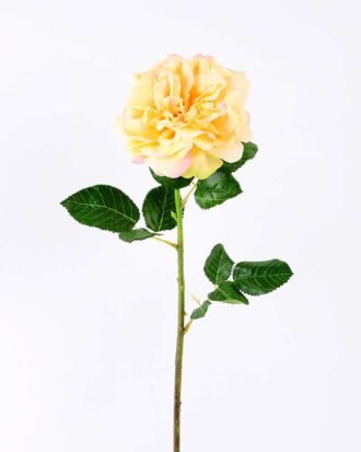 15*15*65CM Single Wild Rose GS-2580063-Y1
