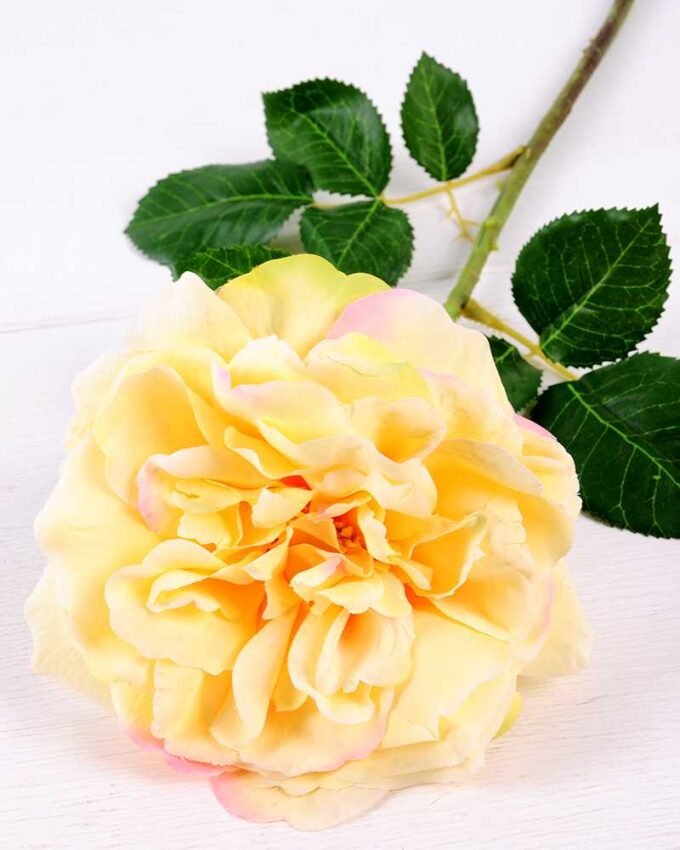 15*15*65CM Single Wild Rose GS-2580063-Y1 2 15*15*65CM Single Wild Rose GS-2580063-Y1