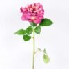 15*15*65CM Single Wild Rose GS-2580063-Z1