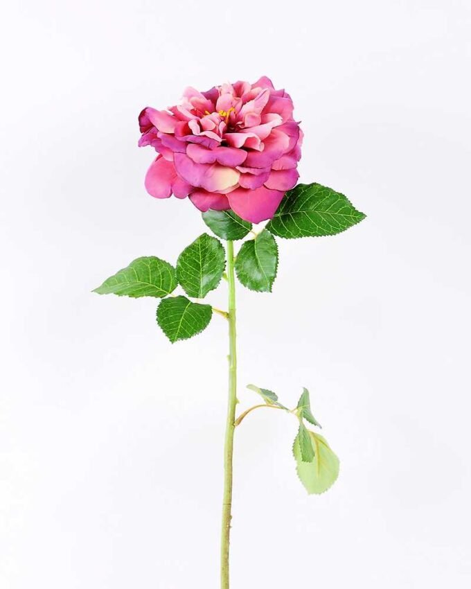 15*15*65CM Single Wild Rose GS-2580063-Z1
