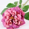 15*15*65CM Single Wild Rose GS-2580063-Z1