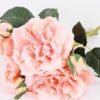 25*25*35CM Wild Rose Bouquet GS-2580064-C1