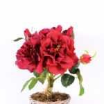 25*25*35CM Wild Rose Bouquet GS-2580064-R1