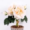 25*25*35CM Wild Rose Bouquet GS-2580064-W1