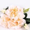 25*25*35CM Wild Rose Bouquet GS-2580064-W1
