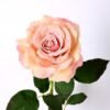 12*65CM single rose GS-2580086-P1