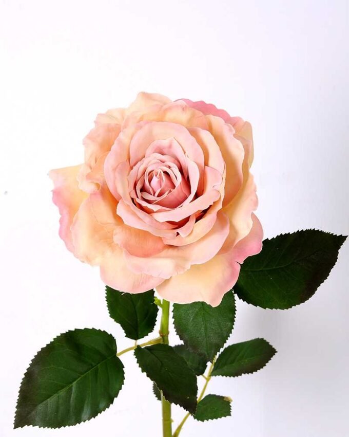 12*65CM single rose GS-2580086-P1