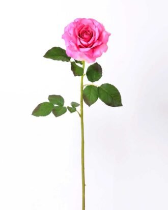 12*65CM single rose GS-2580086-P2