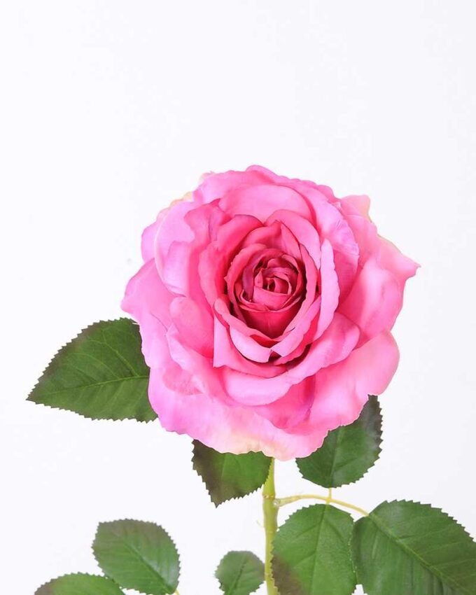 12*65CM single rose GS-2580086-P2