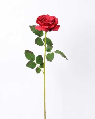 12*65CM single rose GS-2580086-R1