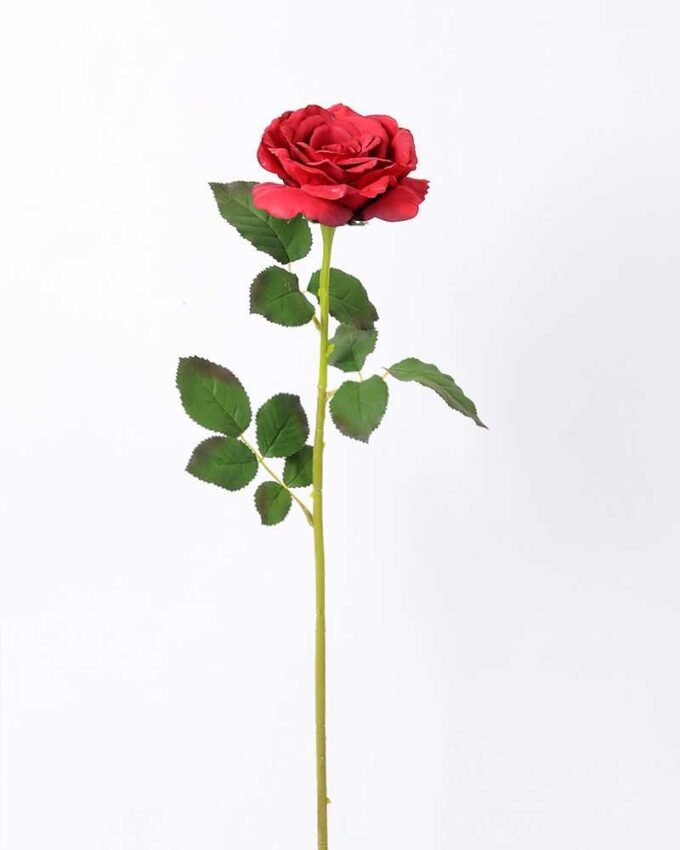 12*65CM single rose GS-2580086-R1