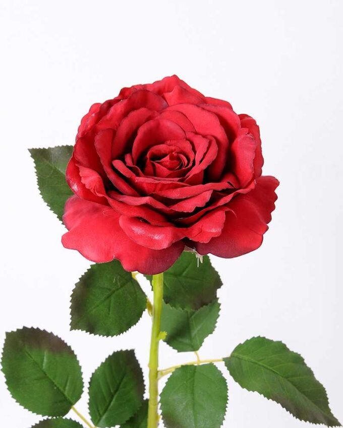 12*65CM single rose GS-2580086-R1