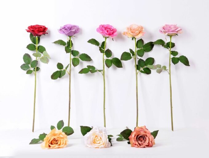 12*65CM single rose GS-2580086-R1