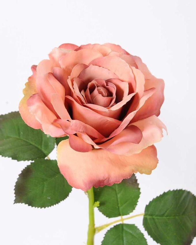 12*65CM single rose GS-2580086-S1