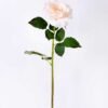 12*65CM single rose GS-2580086-W1