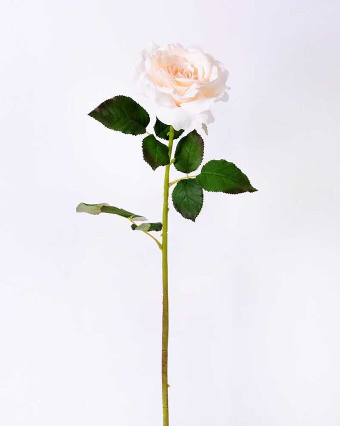 12*65CM single rose GS-2580086-W1