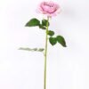 12*65CM single rose GS-2580086-Z1